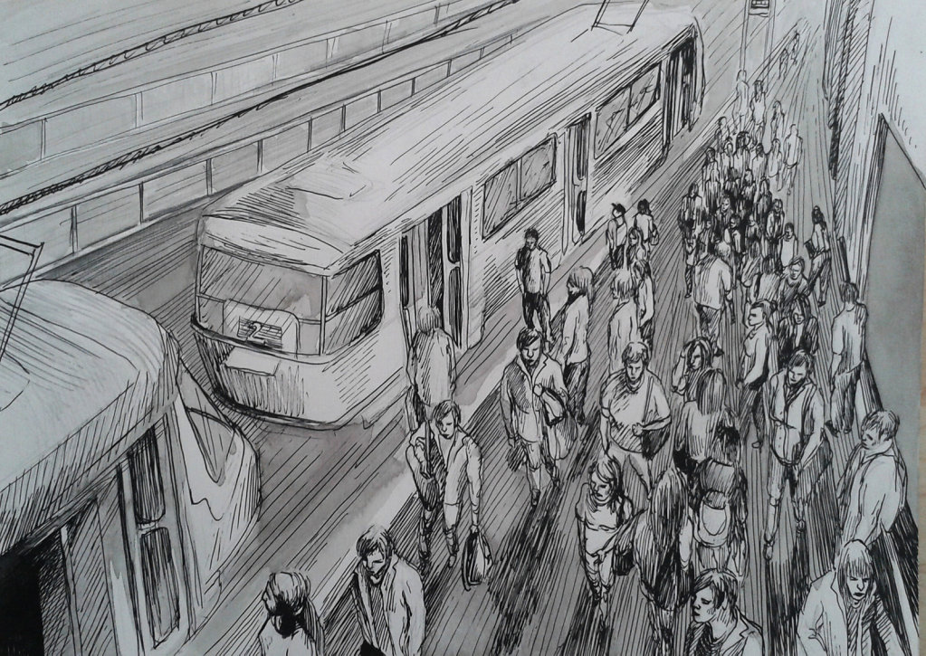 Homo transportabilis